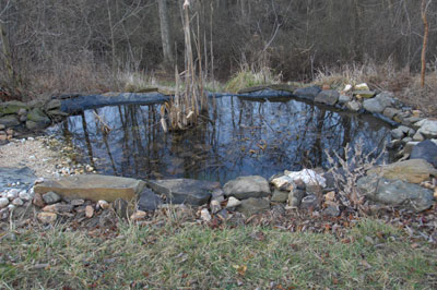 a home pond
