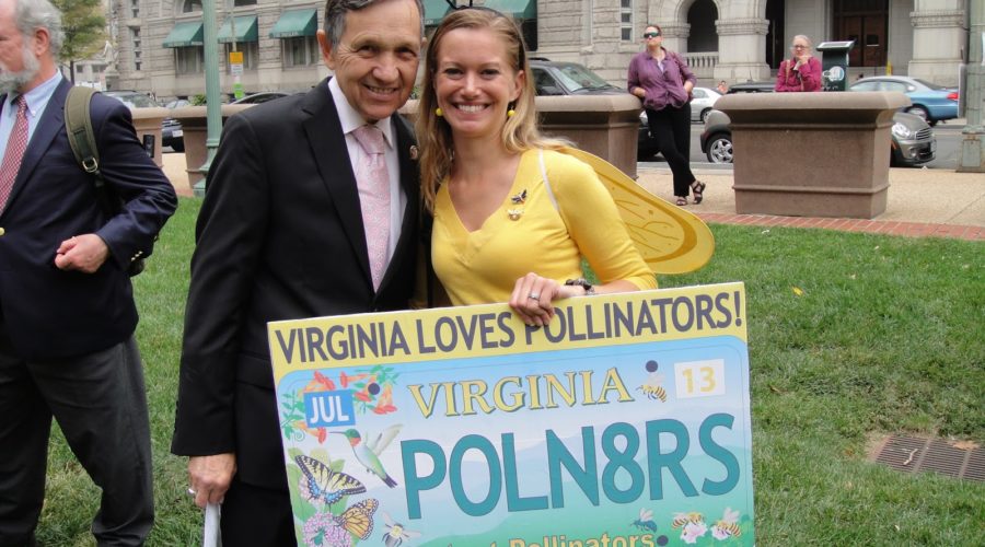 License Plates Help A State Pollinator Program