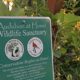 How to Certify Your Home as an Audubon Wildlife Sanctuary (Virtual)
