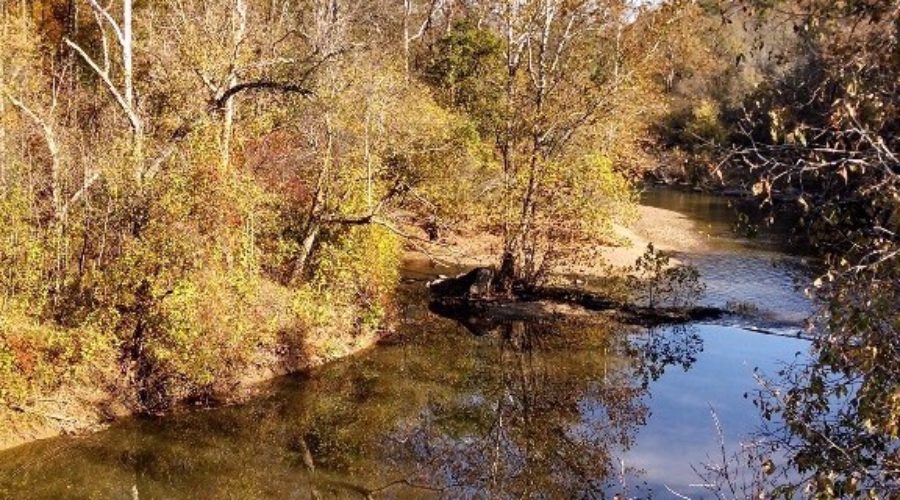 Goose Creek