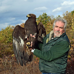 Liam McGranahan with Golden Eagle
