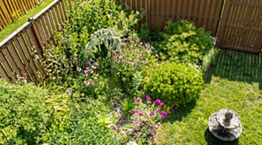 Townhouse backyard wildlife habitat