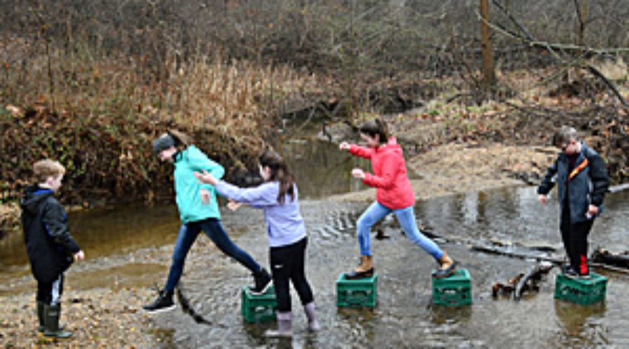 Stream crossing at Chapman DeMary Trail