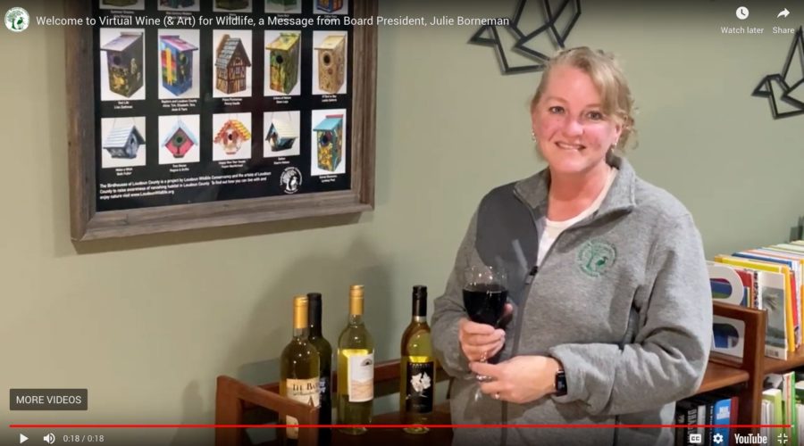 Virtual Wine & Wildlife 2020 - Video Screengrab