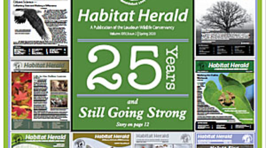 Habitat Herald: 25 Years and Still Going Strong