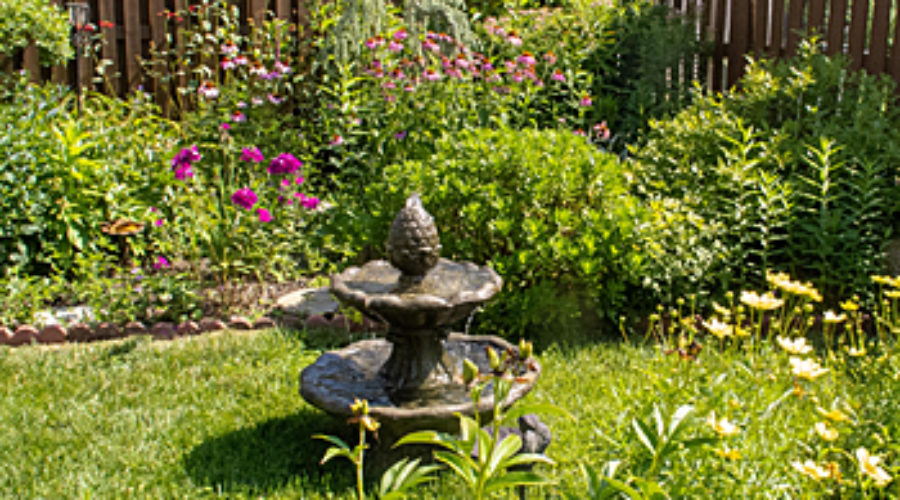 Wildlife Garden at Townhome