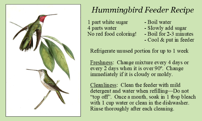 Hummingbird nectar recipe