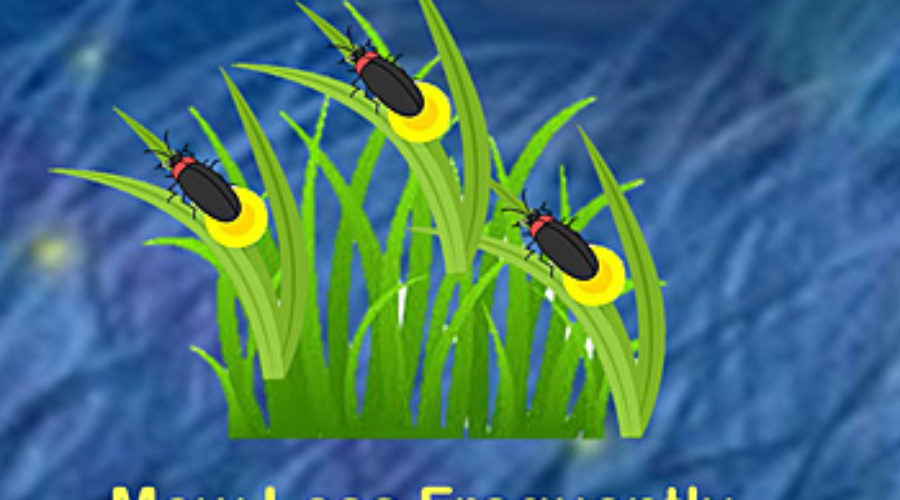 Fireflies on grass