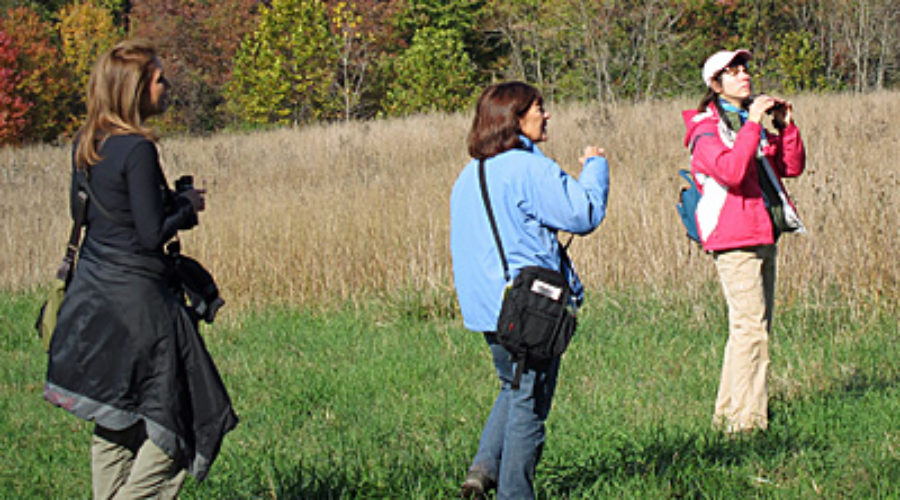 Counting birds at BRCES
