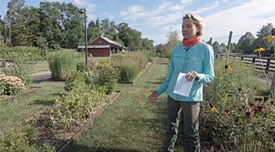 Willowsford Conservancy Tour
