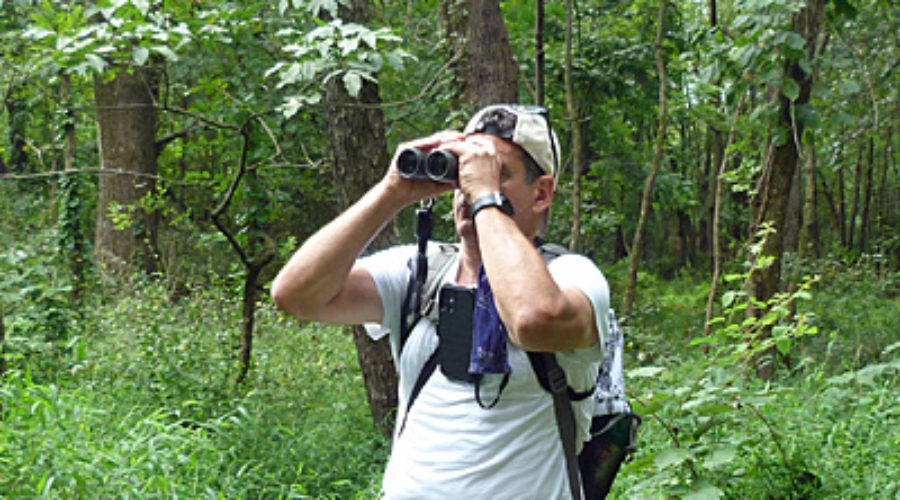 Birding at Black Oak