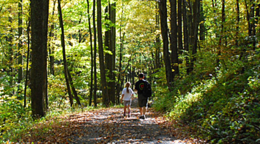 hiking in the woods