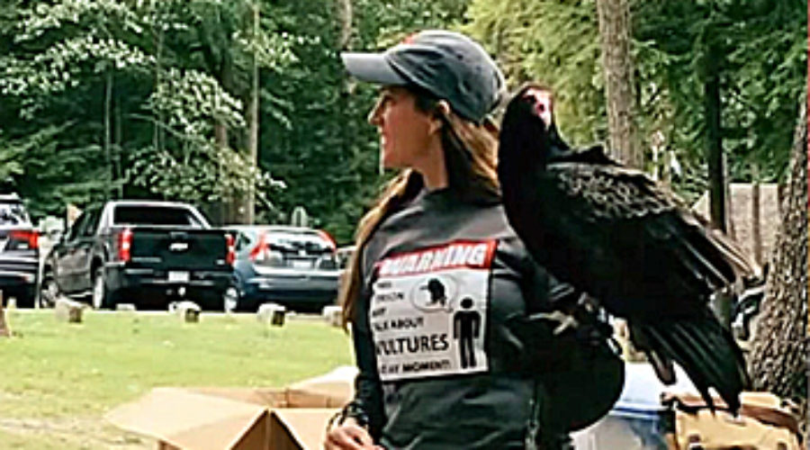 Katie Fallon holding a Turkey Vulture