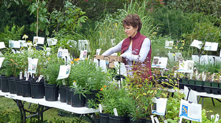 Native Plant Sale