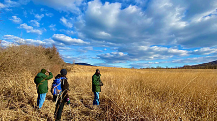 Birders at Blue Ridge Center