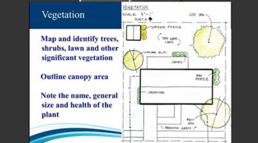 Winter Planning for Your Garden