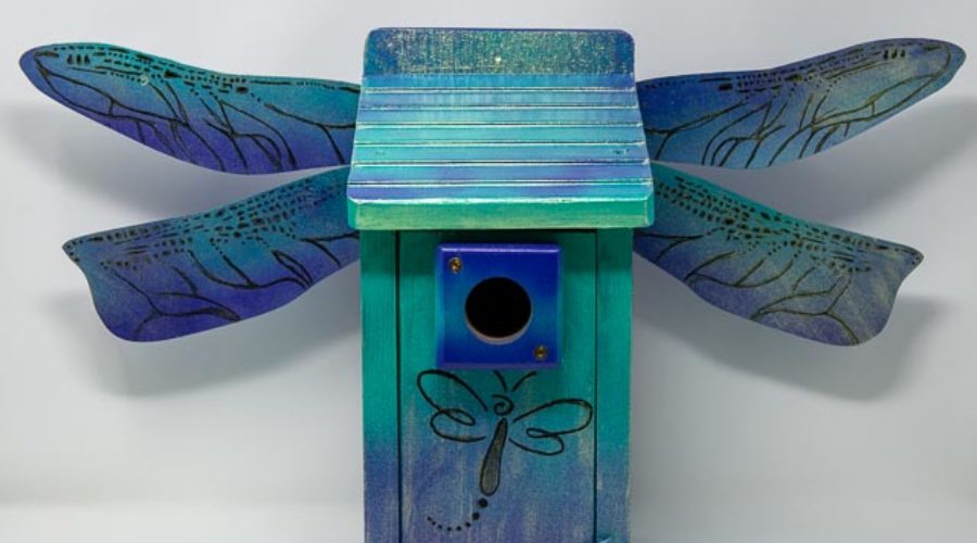 birdhouse with dragonfly wings