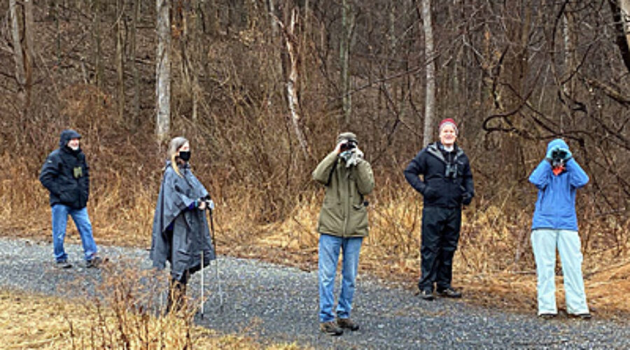 Birders at the Blue Ridge Center