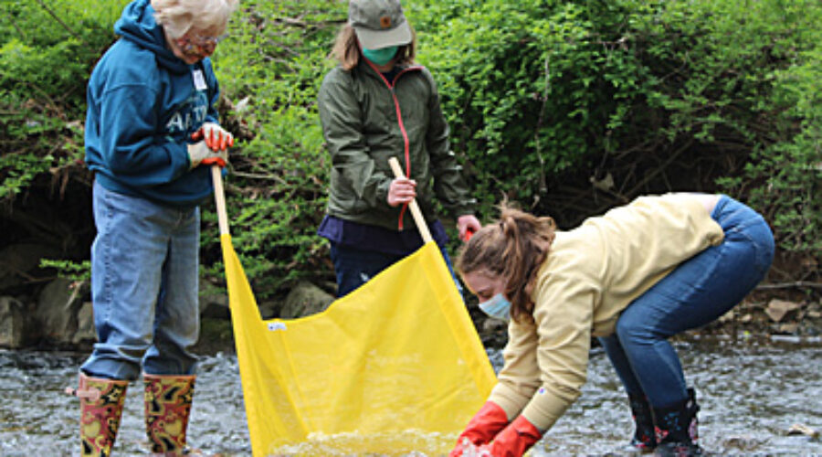 Collecting benthic macroinvertebrates