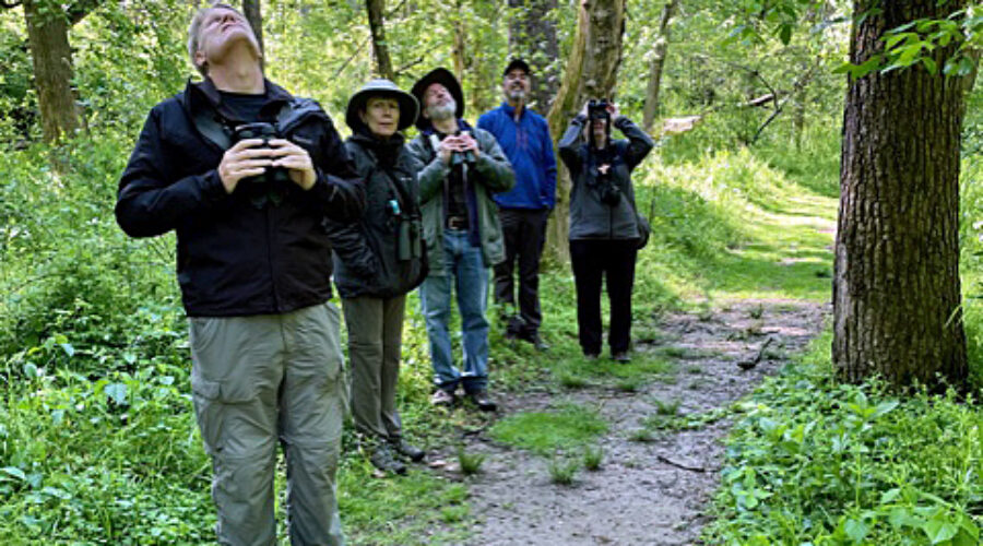 Banshee Reeks Bird Walk