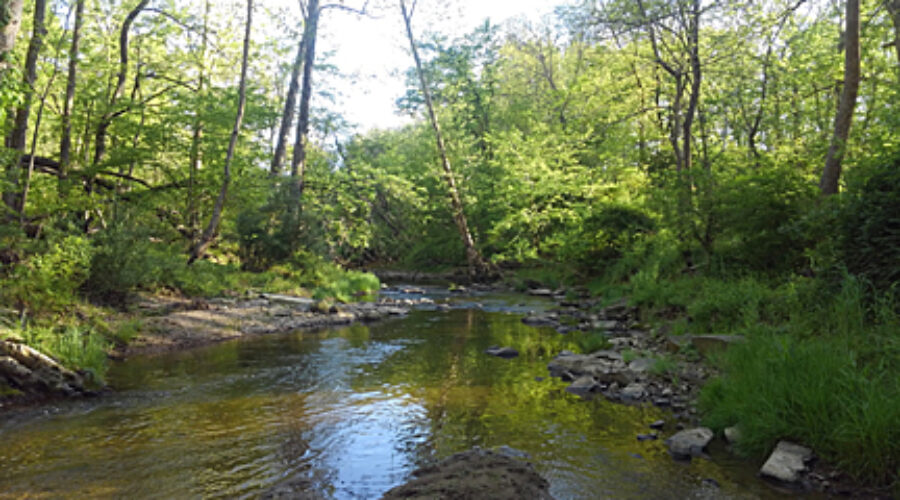 Crooked Run
