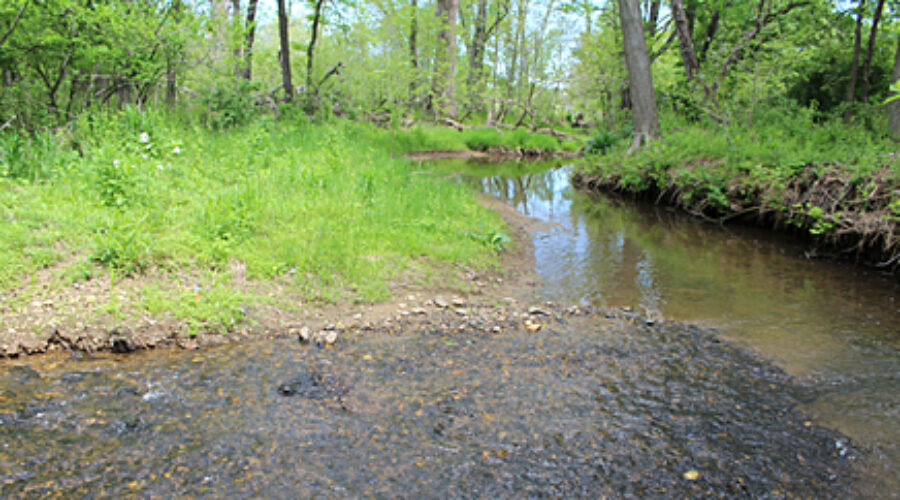 North Fork stream monitorin