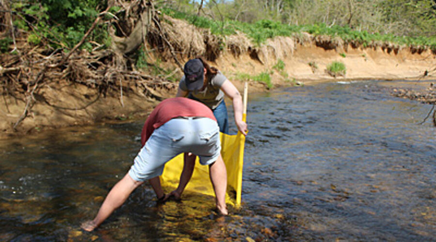 South Fork Survey is Part of Stream Monitor Training