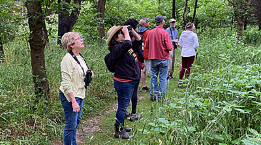 Group of birders.