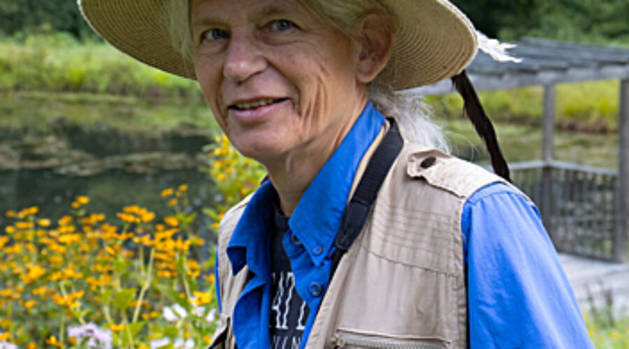 Anne Ellis