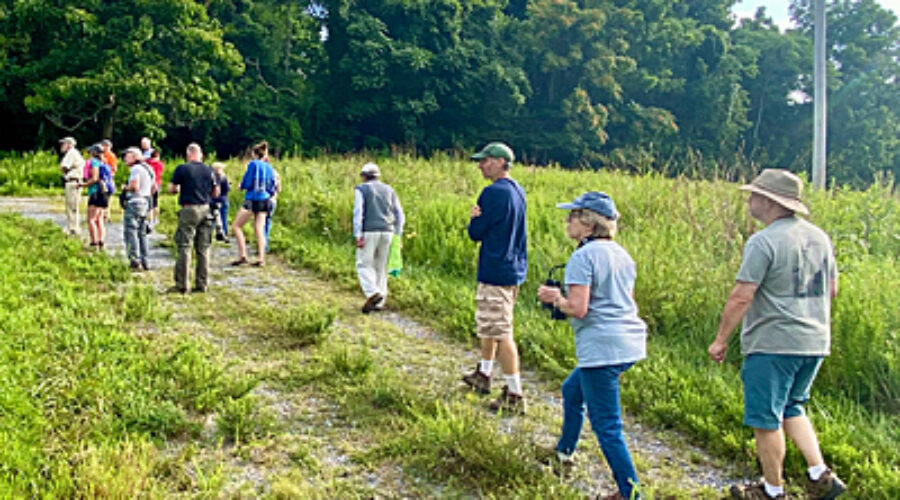 Birders at BRCES