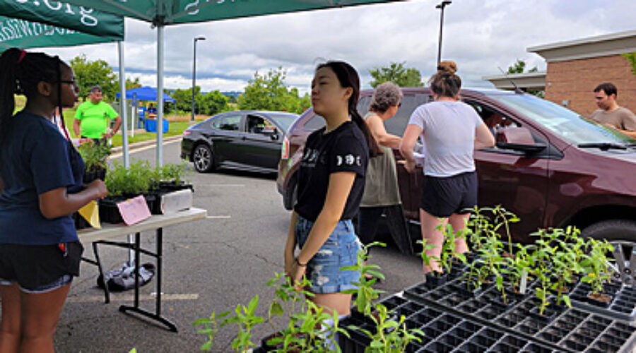 2021 Milkweed Sale