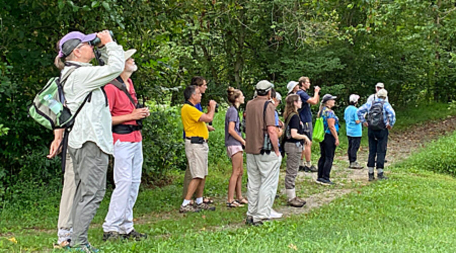 Group of Bird Watchers