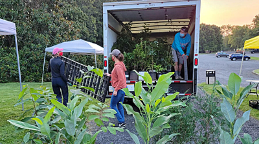 Setting up Nature by Design nursery