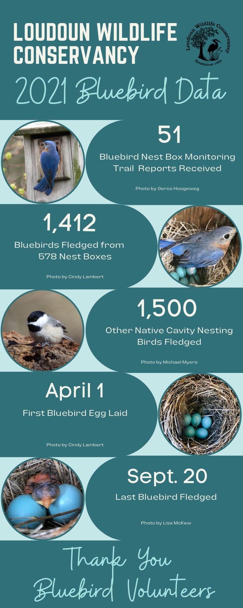 2021 Bluebird Data Infographic