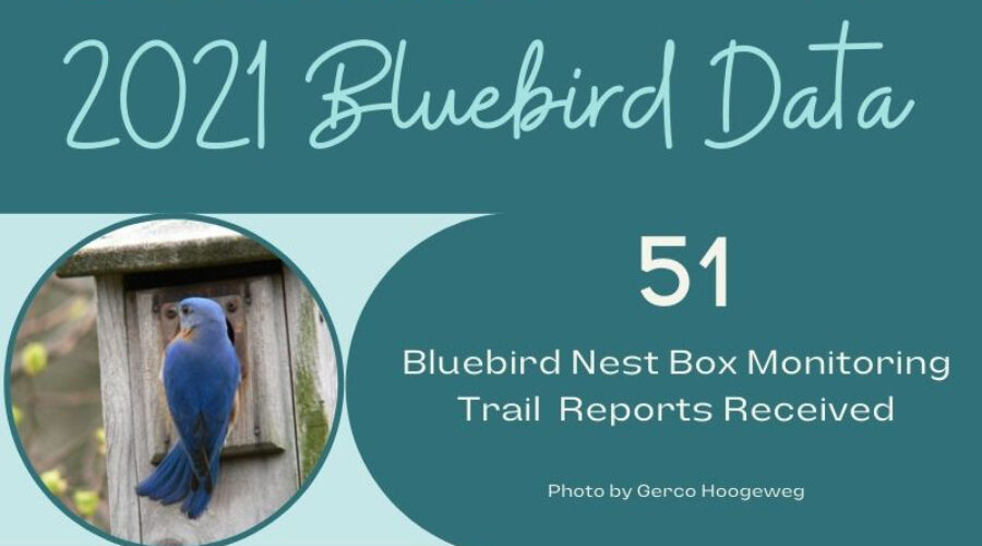 2021 Bluebird Data