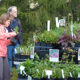 Spring Native Plant Sale at Morven Park