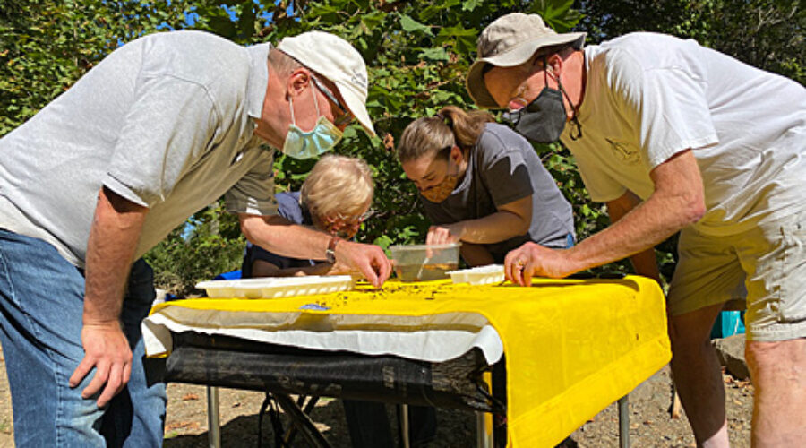 Volunteers look through debris