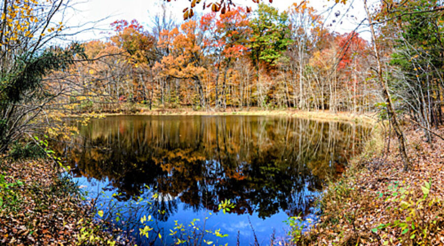 Pond at Banshee Reeks