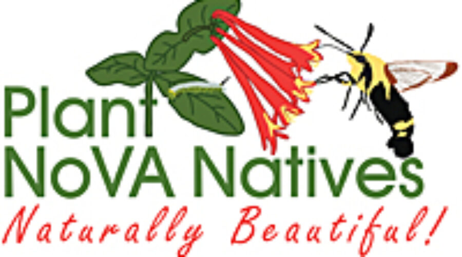 Plant NOVA Natives Logo