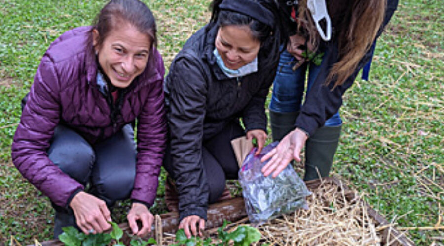 Peterson Young Naturalist Program
