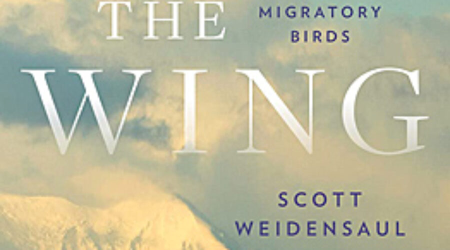 Cover of A World On The Wing