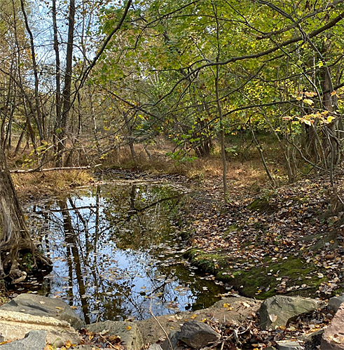Creek at Morven Park