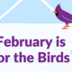 February is for the Birds