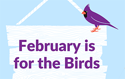 February Is For The Birds