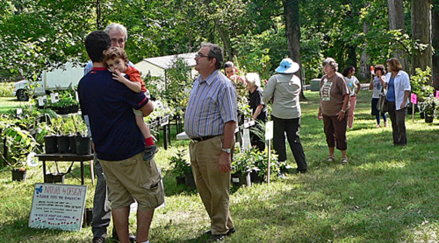 native plant sale at Rust