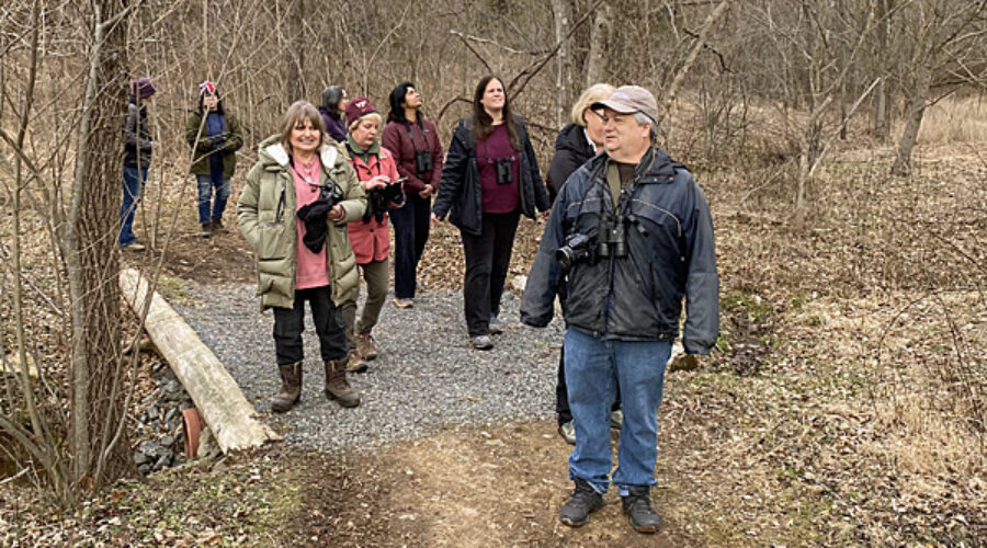Birders at Banshee Reeks