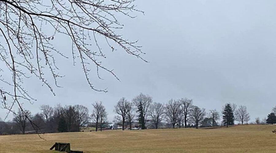 Field at Morven Park