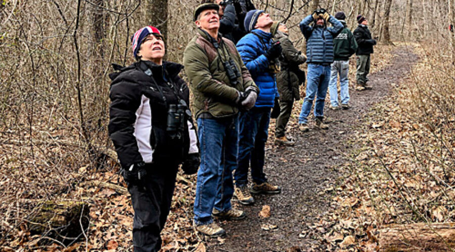 Birders at Blue Ridge Center