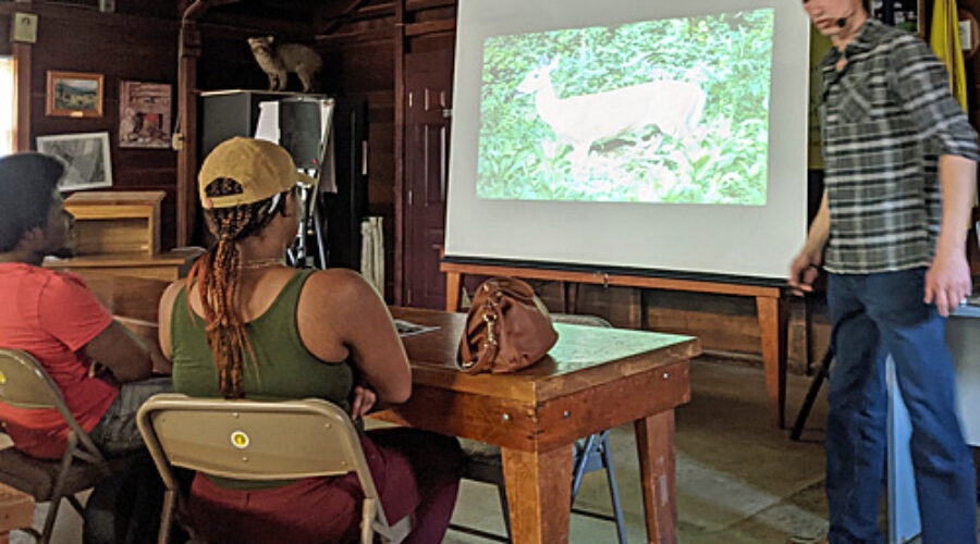 Learning about Nature Photography