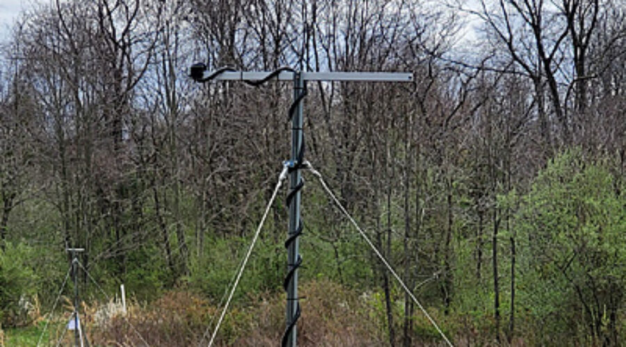 Bat monitoring rig